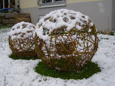 Weidenkugeln im Schnee